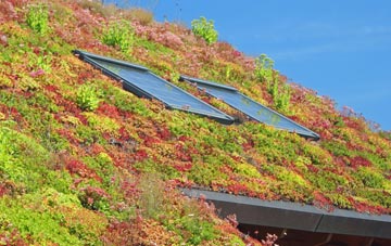 Bold Heath living roof systems