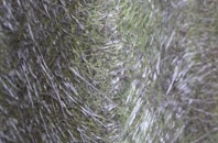 Bold Heath fibreglass roof work